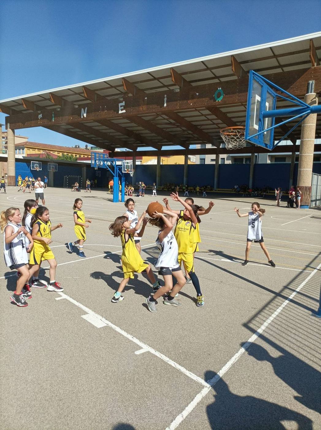 Partido de categoría benjamín del CB Dominicos en pista exterior